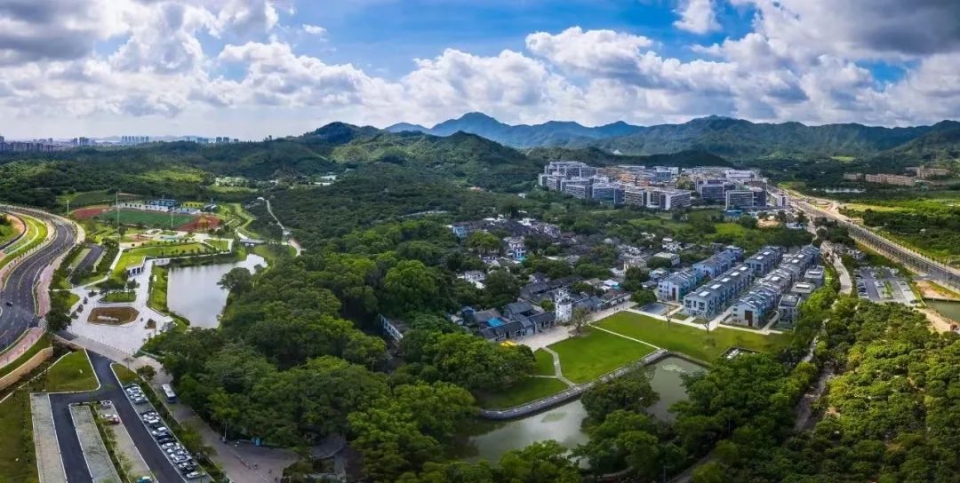 一把手访谈 | 珠海高新区党工委书记赵适剑：“六大联动工程”激发古镇新活力