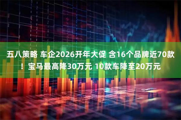 五八策略 车企2026开年大促 含16个品牌近70款！宝马最高降30万元 10款车降至20万元