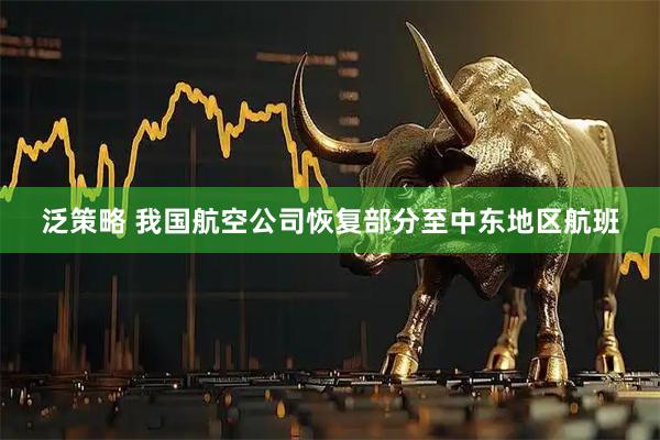泛策略 我国航空公司恢复部分至中东地区航班