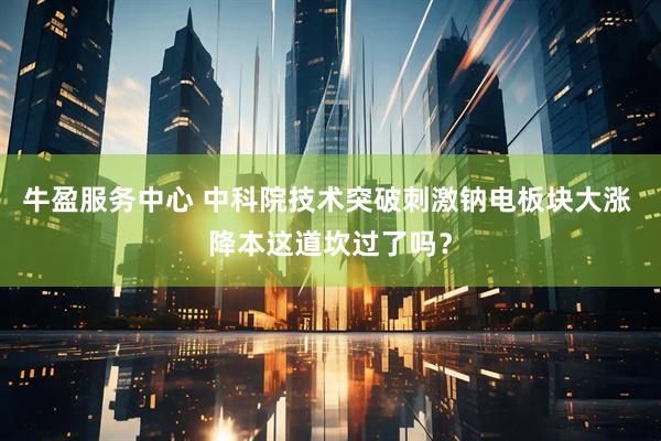 牛盈服务中心 中科院技术突破刺激钠电板块大涨 降本这道坎过了吗？