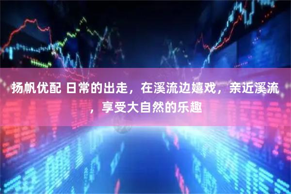 扬帆优配 日常的出走，在溪流边嬉戏，亲近溪流，享受大自然的乐趣