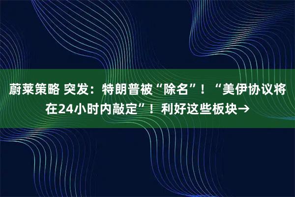 蔚莱策略 突发：特朗普被“除名”！“美伊协议将在24小时内敲定”！利好这些板块→