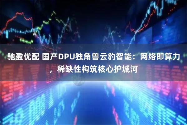驰盈优配 国产DPU独角兽云豹智能：网络即算力，稀缺性构筑核心护城河